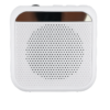 Parlante Amplificador de Voz Portátil AMP-050 con Bluetooth y MP3