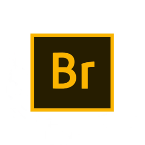 Licencia Adobe Bridge ESD Gestión Fotografía y Diseño Profesional