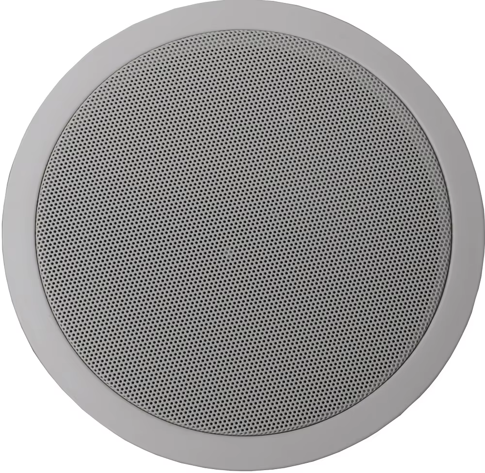 Parlante Bafle Prophonic HSR109-8T 10″ 8Ω 150W RMS