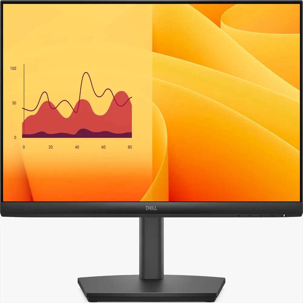 Monitor Dell 22 pulgadas E2225HSM Full HD 100Hz
